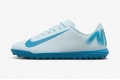 Детские сороконожки Nike Mercurial Vapor 16 Club TF Junior FQ8287-400