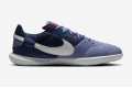 Футзалки Nike StreetGato IC DC8466-500