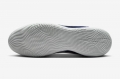Футзалки Nike StreetGato IC DC8466-500