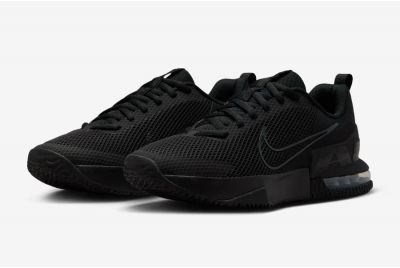 Кроссовки Nike Air Max Alpha Trainer 6 FQ1833-003
