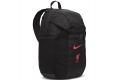 Рюкзак Nike Academy LFC Team Backpack FB2891-010