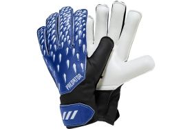 Вратарские перчатки Adidas Predator Training GK3524