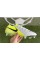 Футбольные бутсы Nike Phantom GX II Elite SG-PRO Anti-Clog FJ2586-003