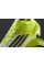 Футбольные бутсы Adidas F50 Elite FG JR6457