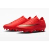 Футбольные бутсы Nike Mercurial Vapor 17 Pro FG IF8512-600