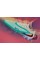 Футбольні бутси Nike Phantom 6 Elite NU2 FG IM9604-300