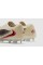 Футбольні бутси Nike Phantom 6 Elite NU3 FG IO8444-661