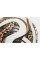 Футбольный мяч Adidas FIFA World Cup 26 Trionda Finals OMB JY8928