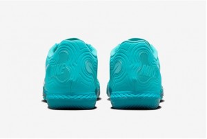 Футзалки Nike ReactGato IC CT0550-300
