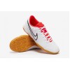 Футзалки Nike Tiempo Legend X Academy IC DV4341-100