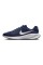 Кросівки Nike Revolution 7 FB2207-400