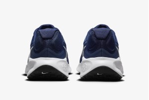Кросівки Nike Revolution 7 FB2207-400