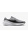 Кросівки Nike Revolution 8 HJ9198-004