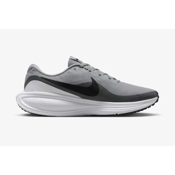 Кроссовки Nike Revolution 8 HJ9198-004