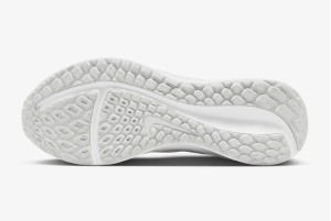 Кросівки Nike Downshifter 13 FD6454-100