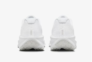 Кросівки Nike Downshifter 13 FD6454-100
