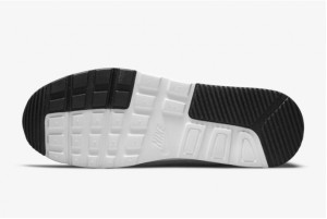 Кросівки Nike Air Max SC CW4555-002