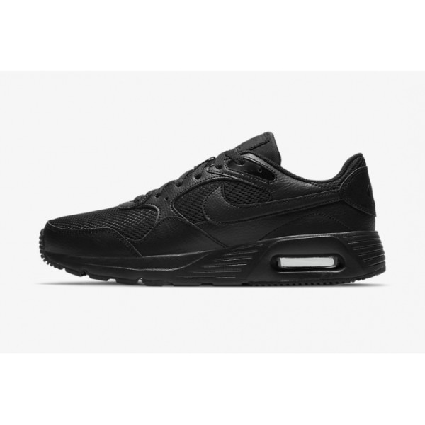 Кроссовки Nike Air Max SC CW4555-003