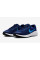 Кроссовки Nike Revolution 7 FB2207-406
