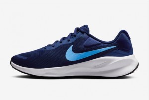 Кросівки Nike Revolution 7 FB2207-406