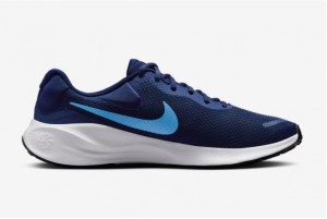 Кросівки Nike Revolution 7 FB2207-406