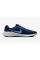 Кроссовки Nike Revolution 7 FB2207-406
