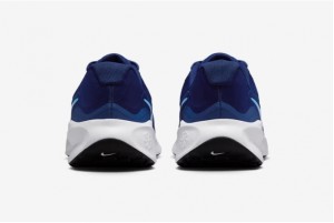 Кросівки Nike Revolution 7 FB2207-406