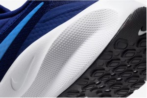 Кросівки Nike Revolution 7 FB2207-406