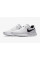 Кросівки Nike Tanjun DJ6258-101