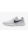Кросівки Nike Tanjun DJ6258-101