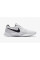 Кросівки Nike Tanjun DJ6258-101