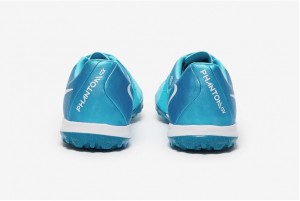 Сороконожки Nike Phantom GX II Academy TF FJ2577-400
