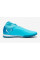 Сороконіжки Nike Phantom Luna II Academy TF FJ2566-400