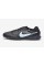 Сороконіжки Nike Tiempo Legend X Pro TF DV4336-003