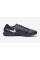 Сороконіжки Nike Tiempo Legend X Pro TF DV4336-003