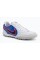 Сороконіжки Nike Tiempo Ligera Pro TF IB4477-146