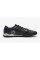 Сороконіжки Nike Tiempo Legend X Academy TF DV4342-040