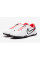 Сороконіжки Nike Tiempo Legend X Academy TF DV4342-100