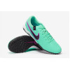 Сороконіжки Nike Tiempo Legend X Academy TF DV4342-300