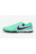 Сороконіжки Nike Tiempo Legend X Academy TF DV4342-300