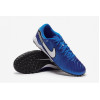 Сороконіжки Nike Tiempo Legend X Academy TF DV4342-400