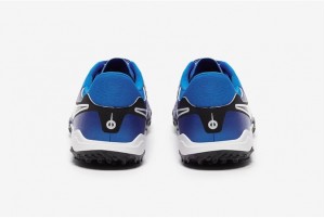 Сороконіжки Nike Tiempo Legend X Academy TF DV4342-400