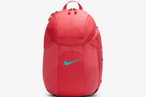 Рюкзак Nike Academy Team Backpack DV0761-850