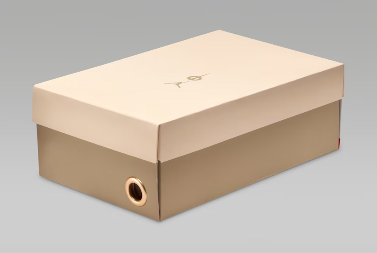 Футзалки Nike Jordan Tiempo StreetGato SE IC II7579-016