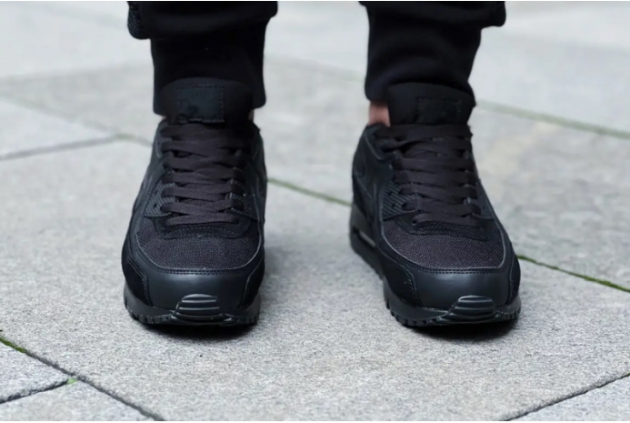 Кроссовки Nike Air Max 90 CN8490-003